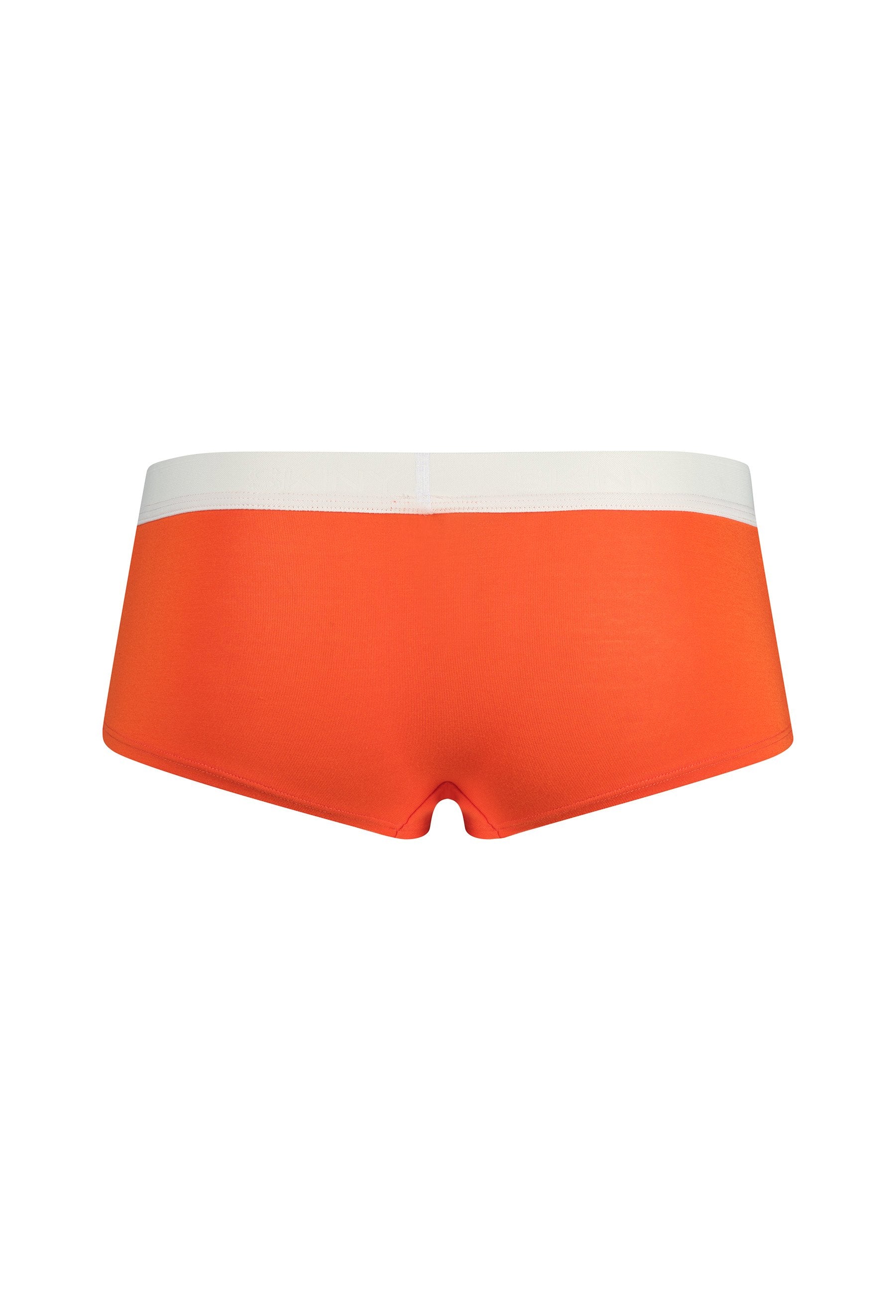 skiny-modal-retro-boyleg-shorts-083321-08s796 image 4