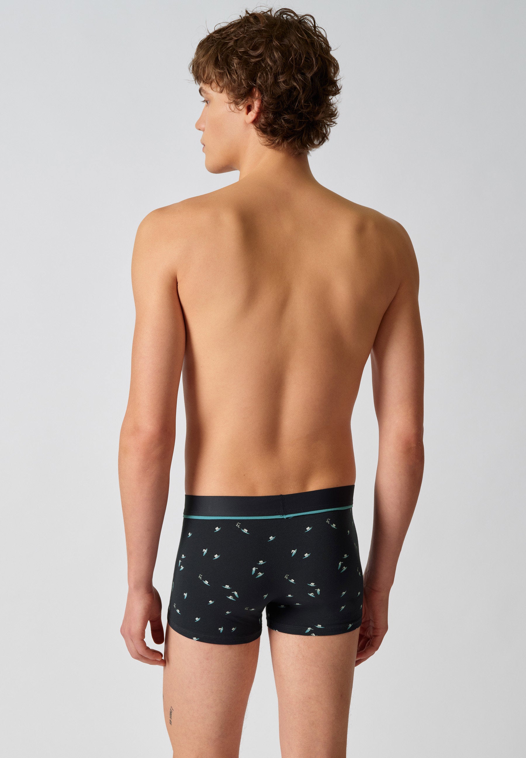 skiny-cotton-multipack-trunks-herren-2er-pack-086193-2 image 2