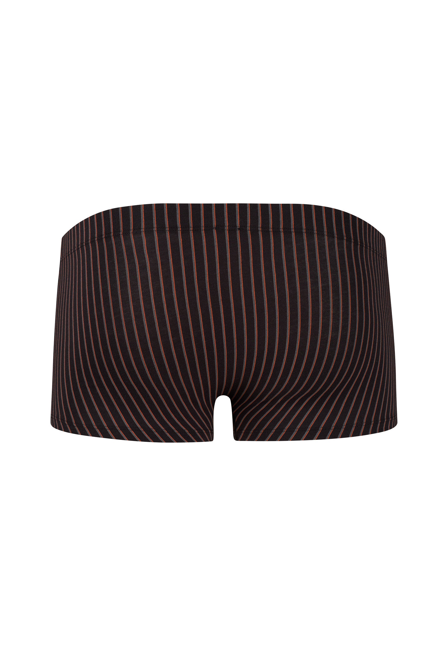 skiny-cotton-multipack-trunks-herren-bedruckt-2er-pack-087608-08a087 image 8