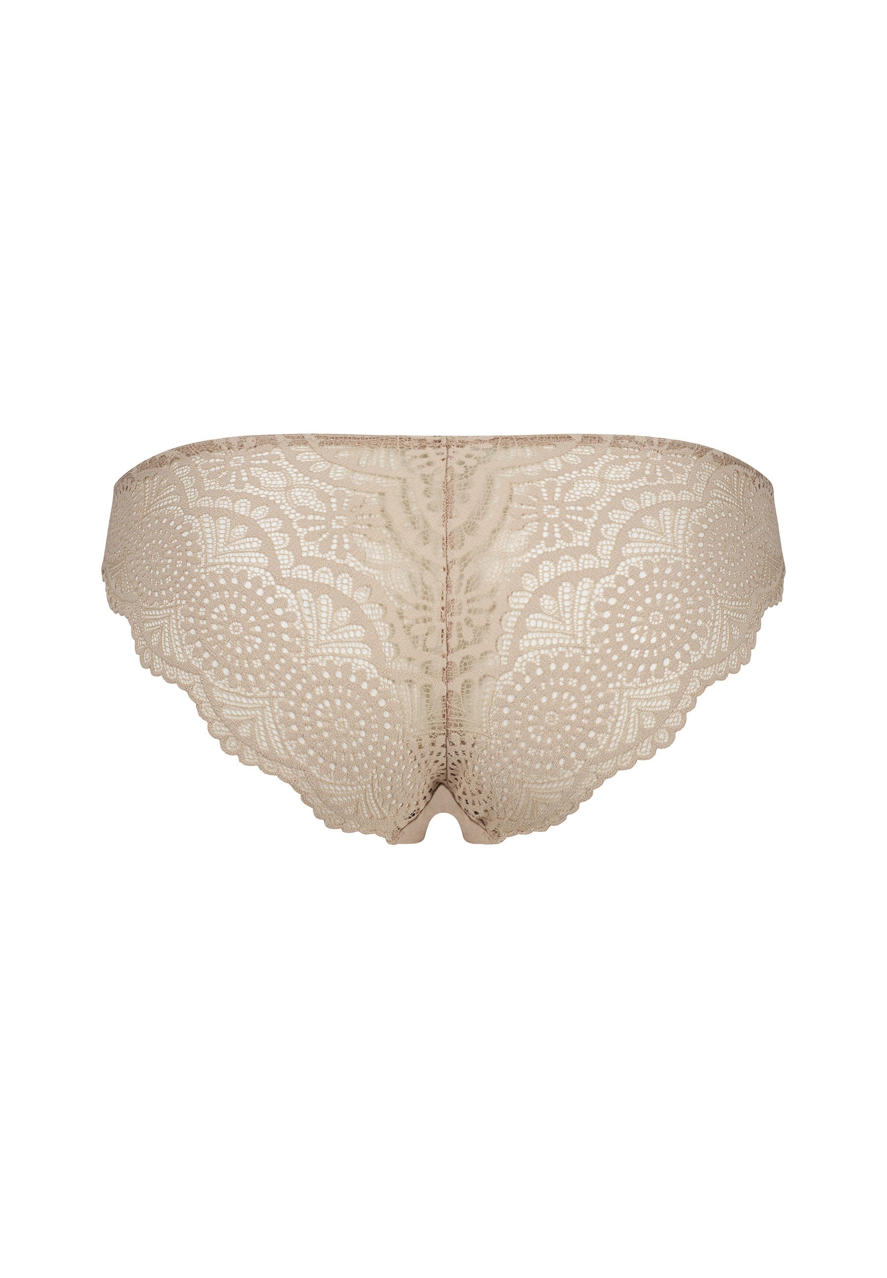 skiny-cotton-ornaments-bikini-briefs-080932-08s971-mit-spitze image 4